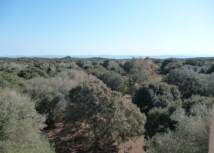 Hébergement de vacances Tour Casella